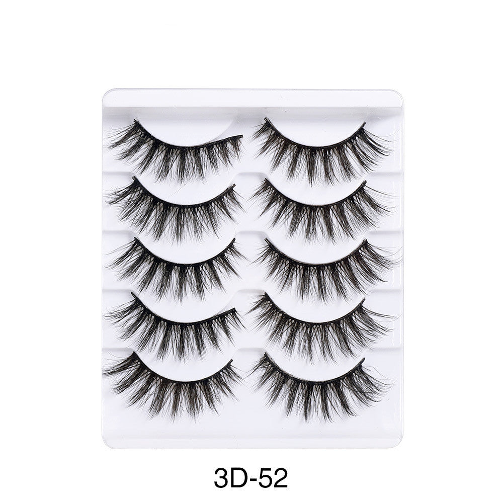 Set of 5 Pairs Mink Eyelashes