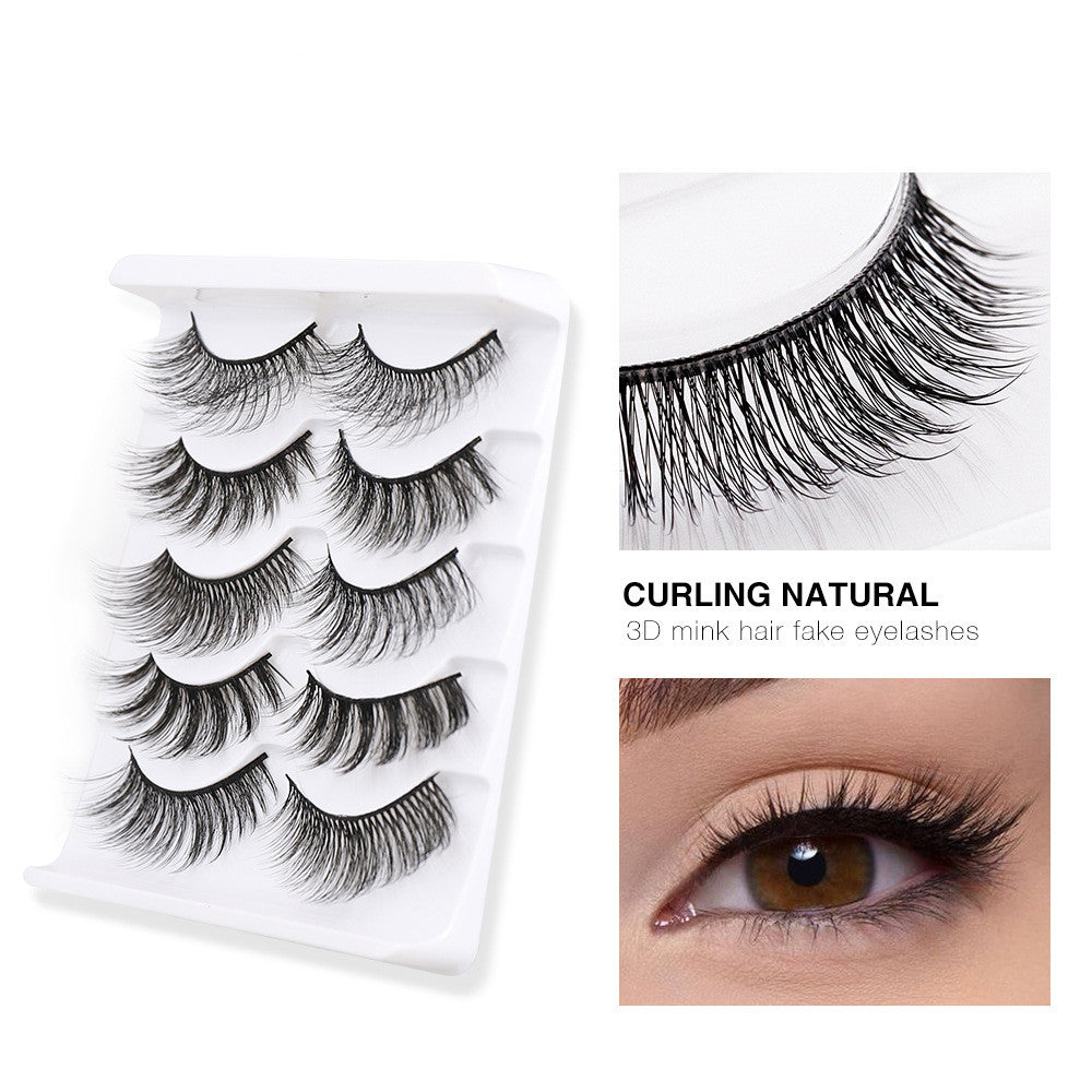 Set of 5 Pairs Mink Eyelashes